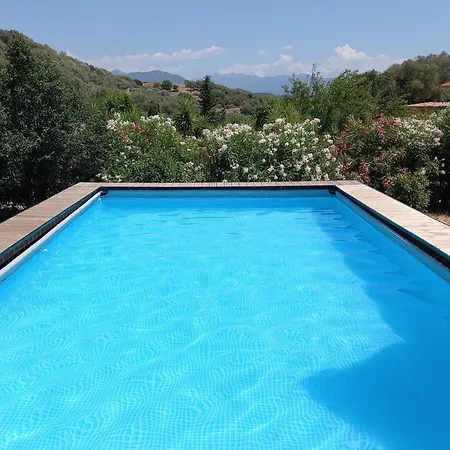 L'Amandier -Le Figuier-Les Lauriers Roses Ajaccio  Exterior foto