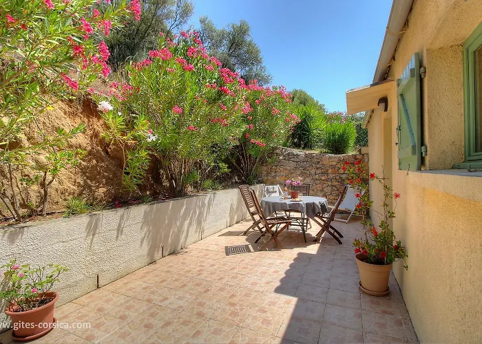 L\'Amandier -Le Figuier-Les Lauriers Roses