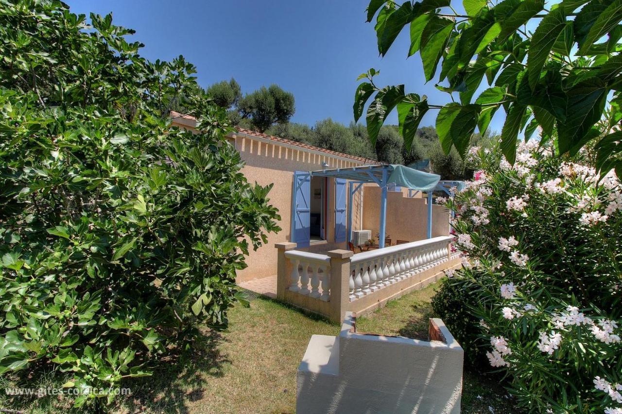 L'amandier -le Figuier-les Lauriers Roses Holiday home *